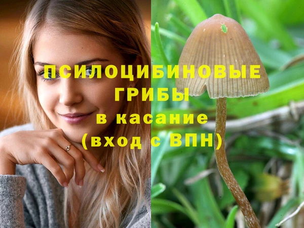мяу мяу кристалл Балахна