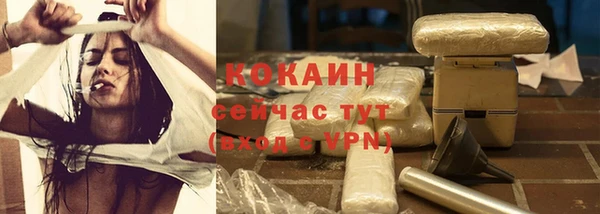 сатива Баксан