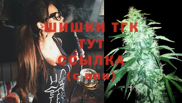 сатива Баксан