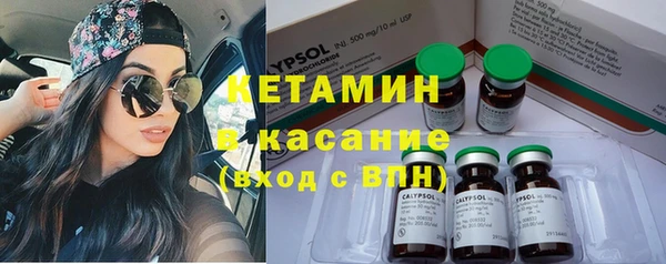 сатива Баксан