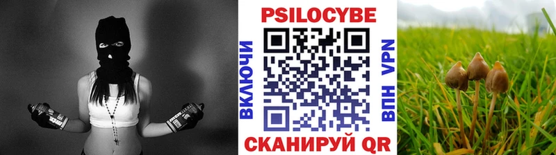 гидра зеркало  Лакинск  Галлюциногенные грибы GOLDEN TEACHER 